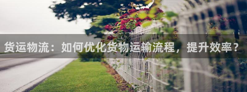 28圈辅助