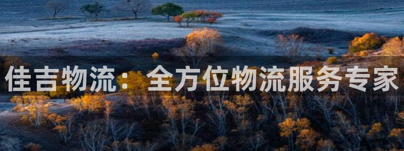 28圈链接：佳吉物流：全方位物流服务