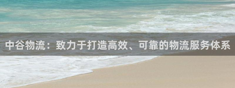 28圈犯法吗：中谷物流：致力于打造高