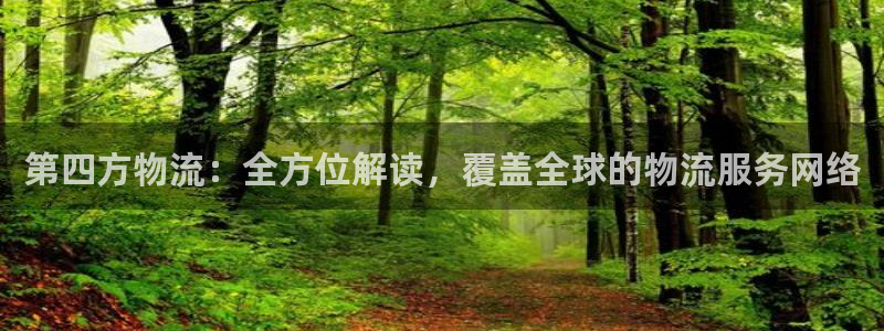 28圈相信品牌的力量：第四方物流：全