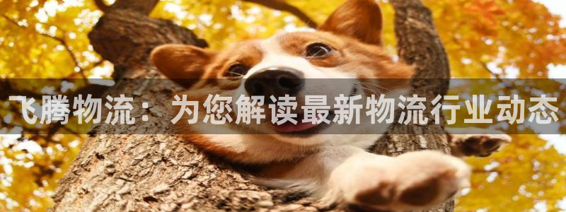 28圈自行车图片大全：飞腾物流：为您