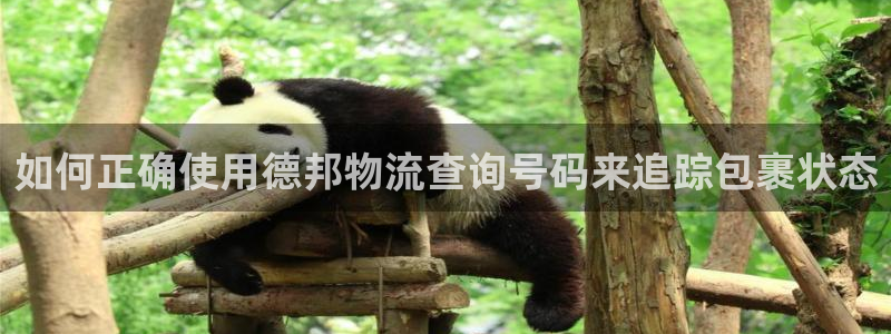 28圈app官网少林足球：如何正确使