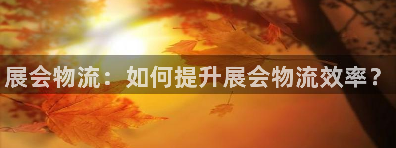 28圈.ccm2024：展会物流：如