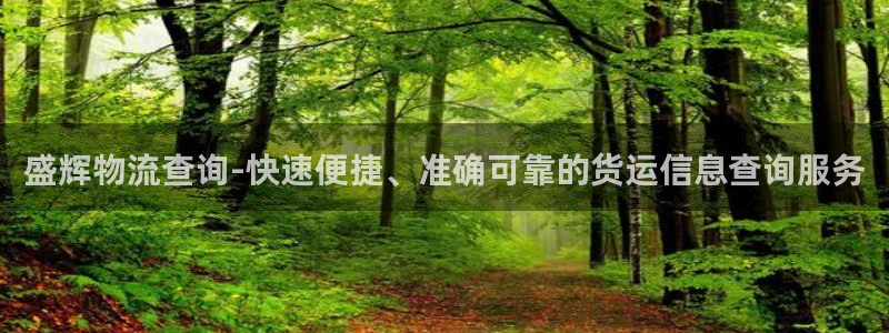 28圈模拟器下载