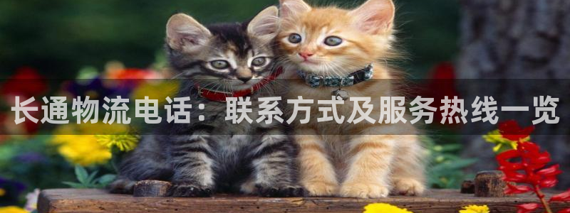 28圈黑不黑