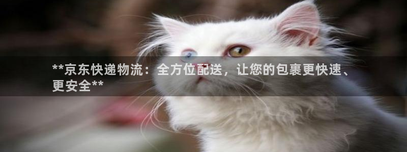 28圈加拿大2.8预测在线预测：**
