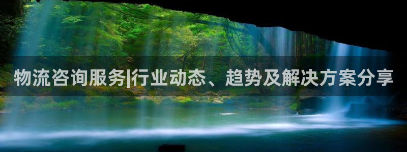 28圈预测网