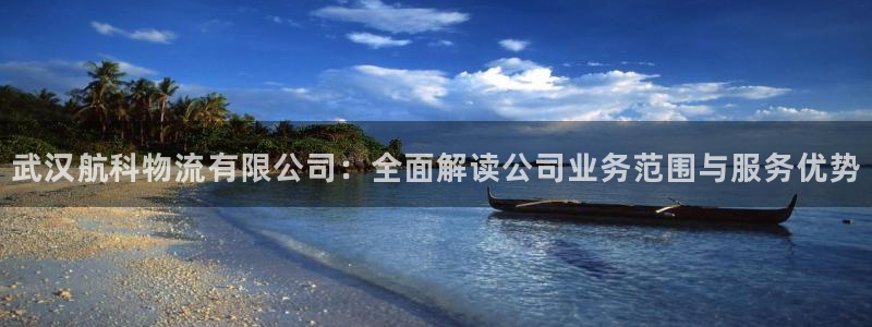 南宫28圈怎么注册：武汉航科物流有限