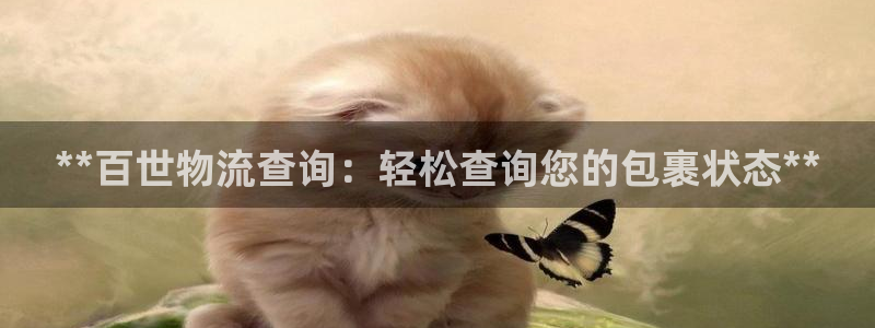 28圈注册链接入口：**百世物流查询