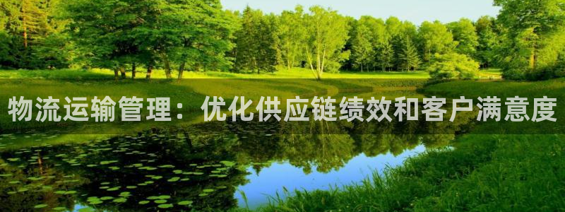 28圈预测：物流运输管理：优化供应链