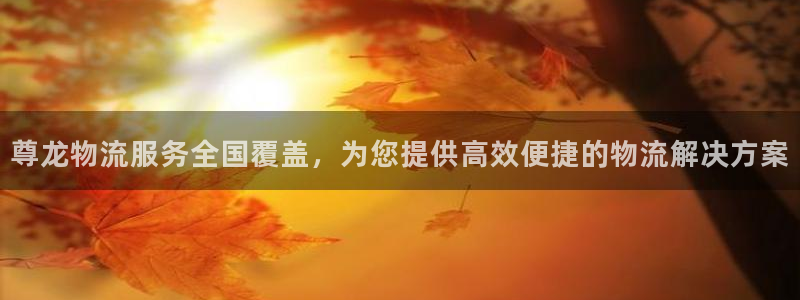 28圈注册与教程：尊龙物流服务全国覆