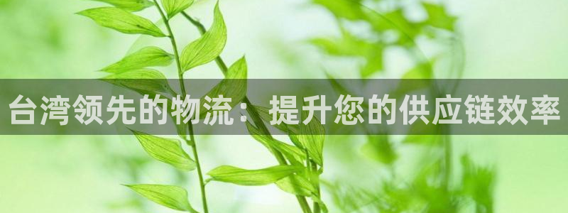 28圈开奖预测