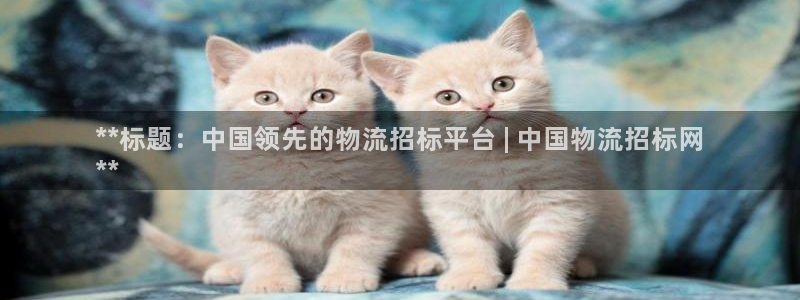 28圈二维码
