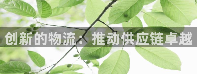 28圈注册过了警察知道吗：创新的物流