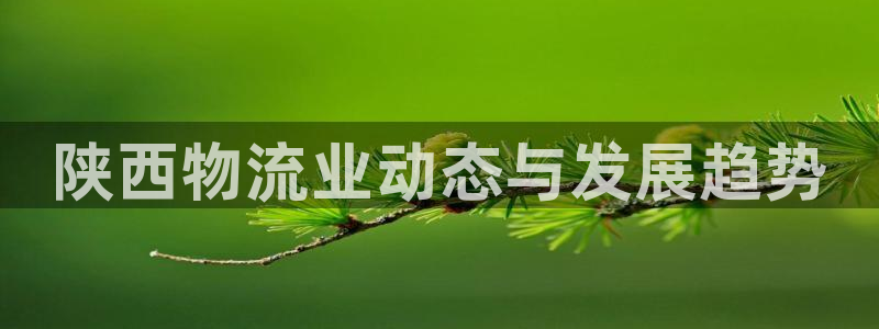 28圈可以退款吗