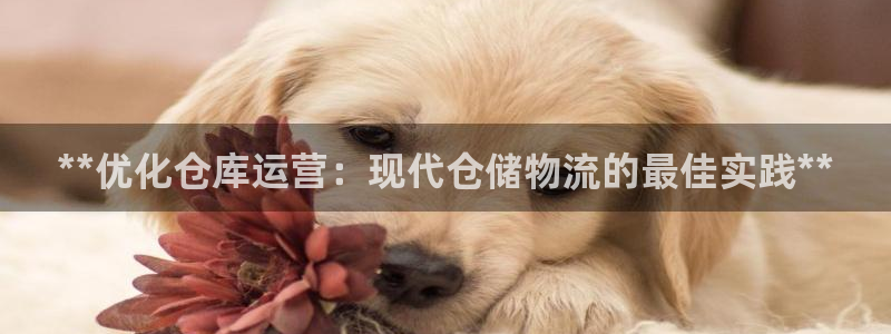 28圈能提现吗：**优化仓库运营：现