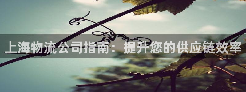 28圈防失联网址