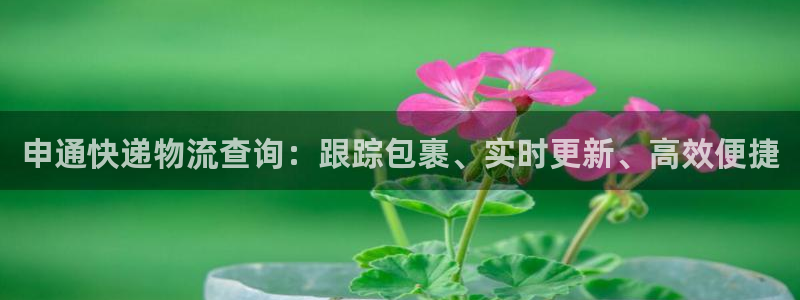 28圈.ccm
