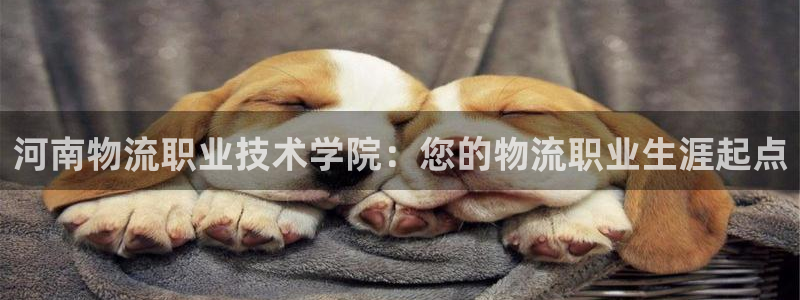 28圈加拿大28：河南物流职业技术学