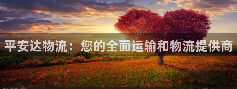 28圈注册网站链接怎么弄：平安达物流