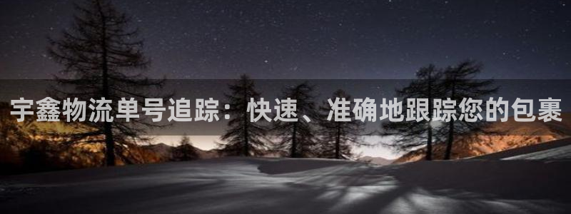 28圈链官网：宇鑫物流单号追踪：快速