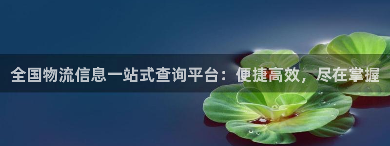 28圈软件有什么用