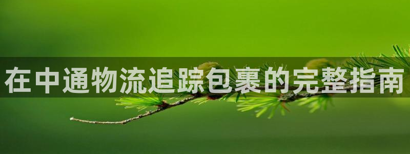 28圈pg如何退钱：在中通物流追踪包