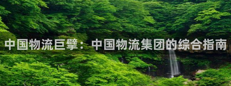 南宫28圈怎么注册：中国物流巨擘：中
