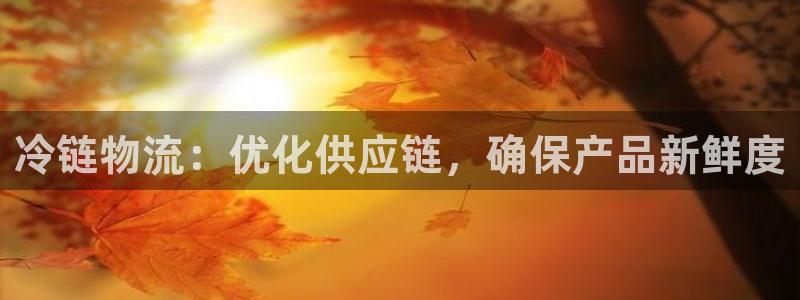 28圈麻将