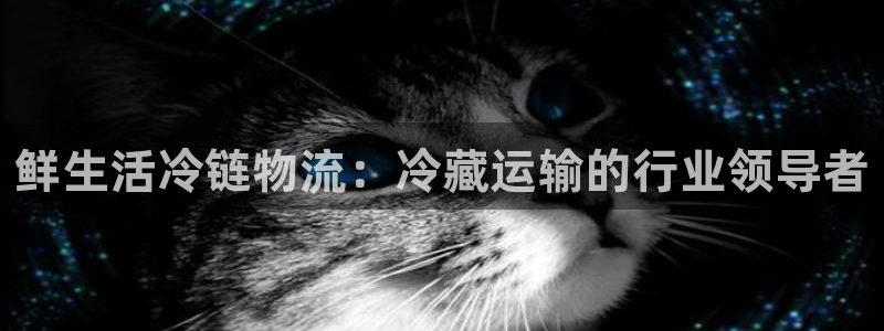 28圈能退款吗