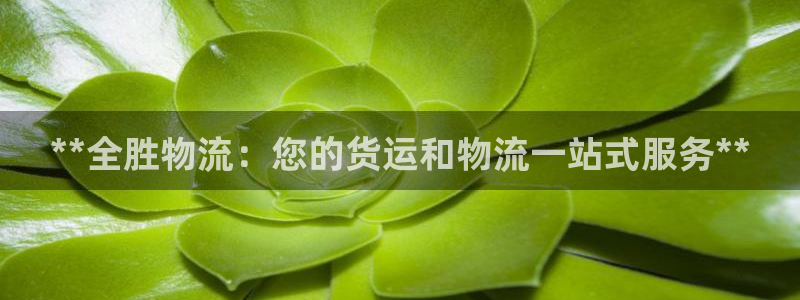 28圈充值不处理：**全胜物流：您的