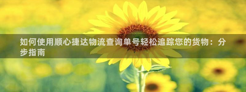28圈麻将胡了