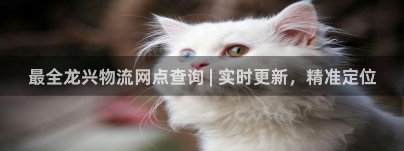 28圈黑不黑