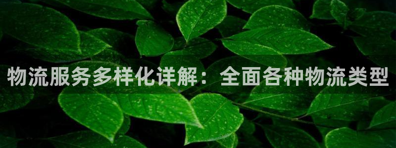 28圈注册送：物流服务多样化详解：全