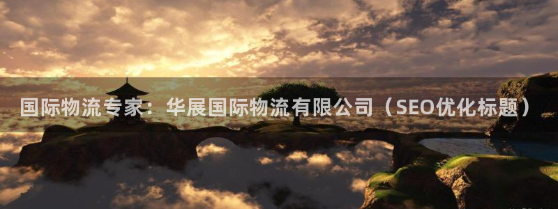28圈：国际物流专家：华展国际物流有