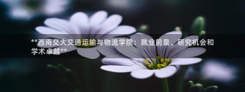 28圈注册登录链接流程：**西南交大