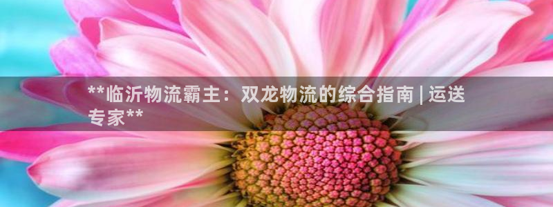 28圈机器人是什么软件