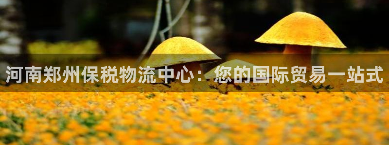 28圈新用户怎么注册：河南郑州保税物