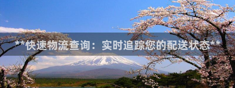 28圈充值不处理会怎么样