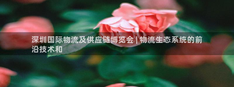 28圈：深圳国际物流及供应链博览会 