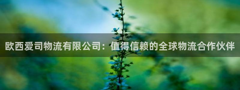28圈官方版正版