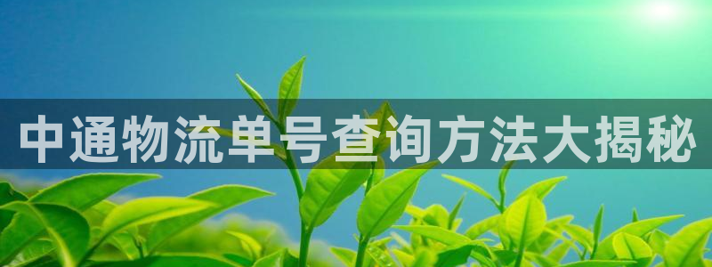 28圈为什么没有赢过一次