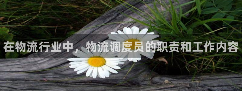 28圈注册网站：在物流行业中，物流调