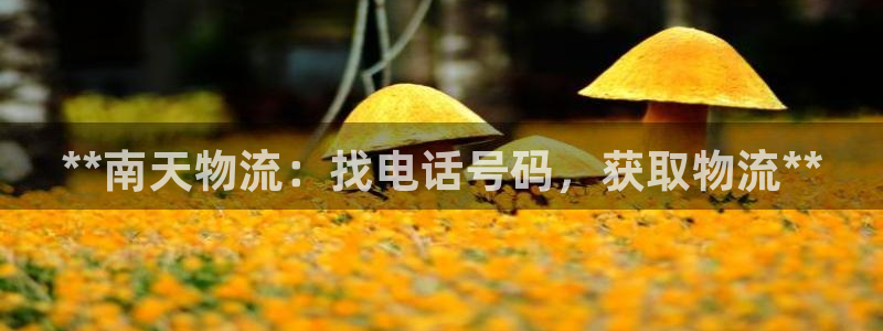 28圈.ccmpc28