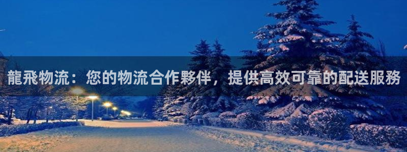 28圈注册网站谁有：龍飛物流：您的物