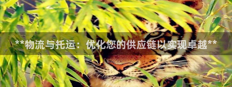 28圈下载体育