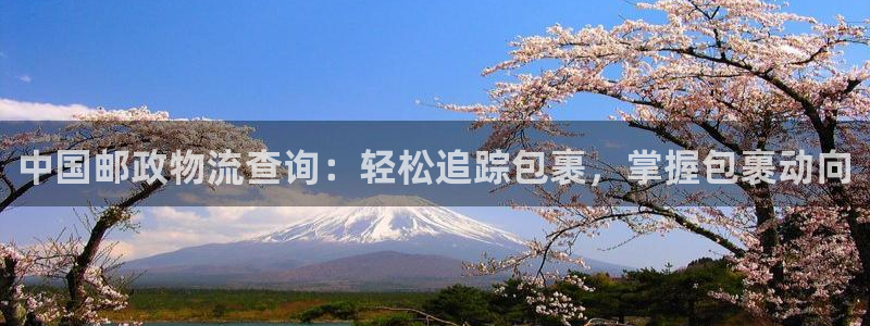 28圈入口问一问