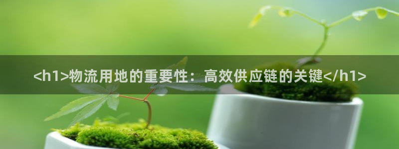 28圈加拿大开奖：<h1>物流用地的