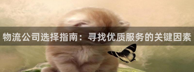 28圈官方官网