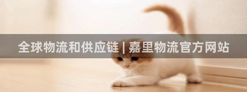 28圈反水